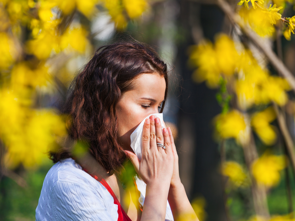 501 Pharmacy Pollen Medication